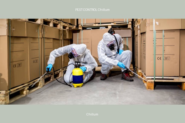 PEST CONTROL Chillum